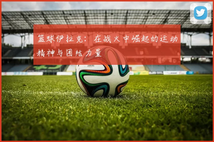 篮球伊拉克：在战火中崛起的运动精神与团结力量