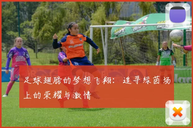 足球翅膀的梦想飞翔：追寻绿茵场上的荣耀与激情