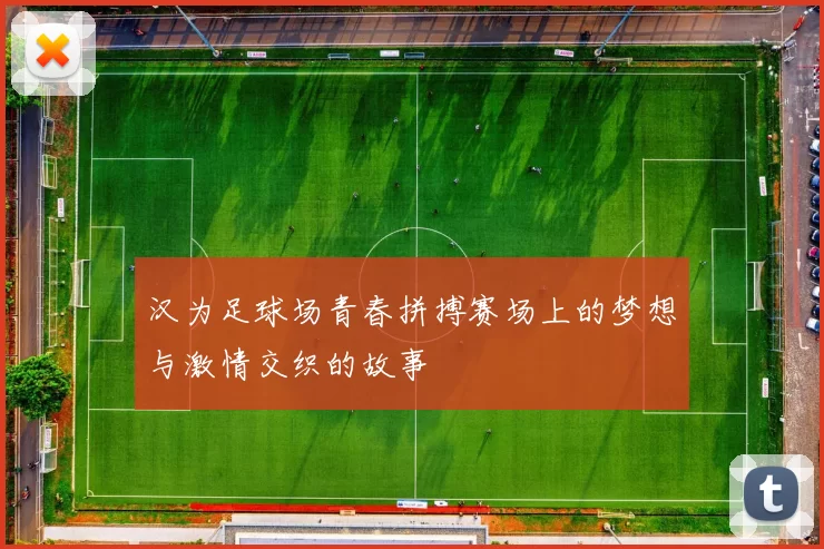 汉为足球场青春拼搏赛场上的梦想与激情交织的故事