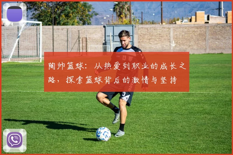 陶帅篮球：从热爱到职业的成长之路，探索篮球背后的激情与坚持