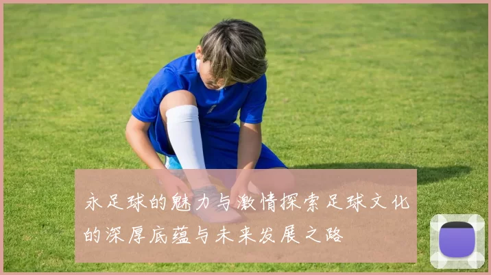 永足球的魅力与激情探索足球文化的深厚底蕴与未来发展之路