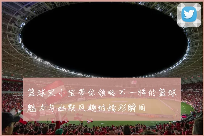 篮球宋小宝带你领略不一样的篮球魅力与幽默风趣的精彩瞬间